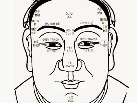 Nhân tướng học, nhận biết nhanh một số thông tin qua khuôn mặt · Trung Notes