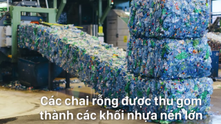 Na Uy tái chế 97% chai nhựa, họ đạt được điều đó bằng cách nào ? | Trung Notes
